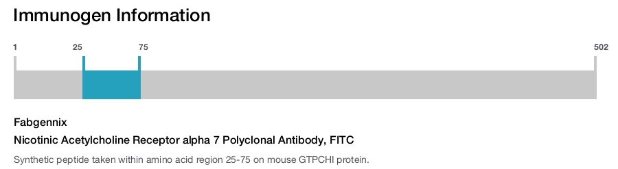 Nicotinic Acetylcholine Receptor alpha 7 Polyclonal Antibody, FITC
