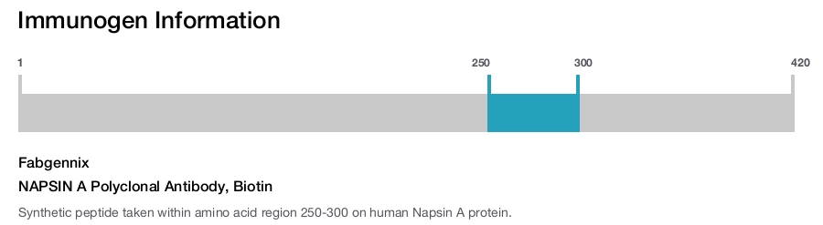NAPSIN A Polyclonal Antibody, Biotin