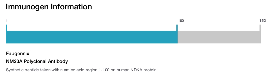 NM23A Polyclonal Antibody