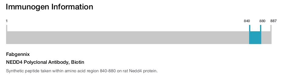 NEDD4 Polyclonal Antibody, Biotin