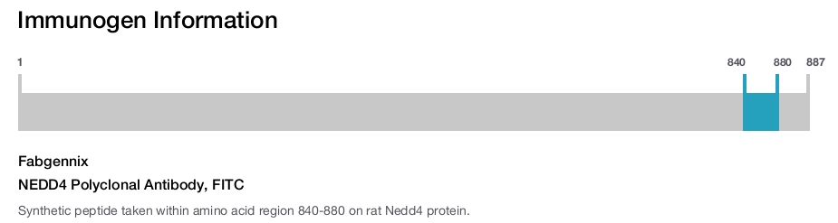 NEDD4 Polyclonal Antibody, FITC