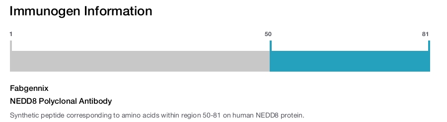 NEDD8 Polyclonal Antibody