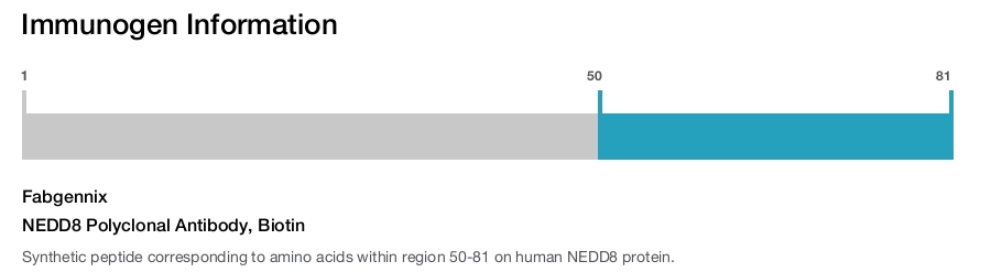 NEDD8 Polyclonal Antibody, Biotin