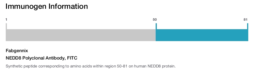 NEDD8 Polyclonal Antibody, FITC