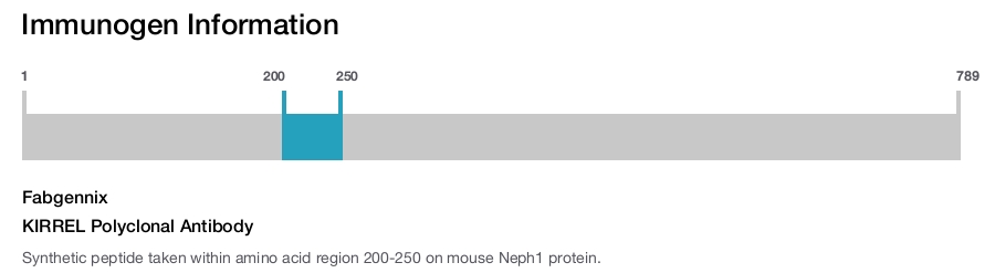 KIRREL Polyclonal Antibody