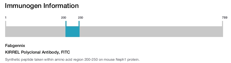 KIRREL Polyclonal Antibody, FITC