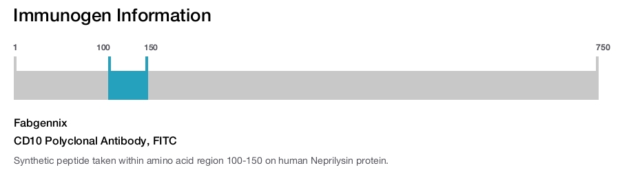 CD10 Polyclonal Antibody, FITC