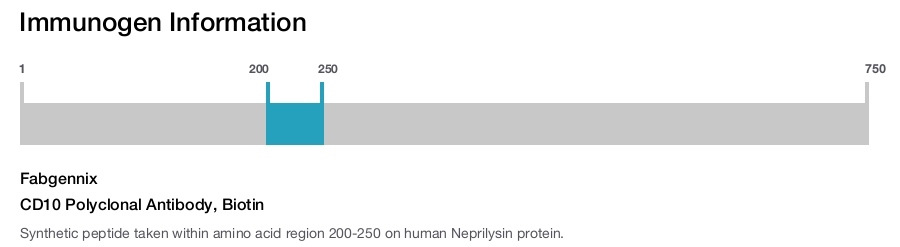 CD10 Polyclonal Antibody, Biotin