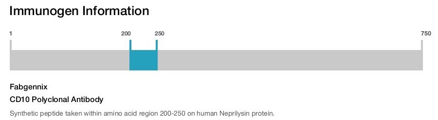 CD10 Polyclonal Antibody