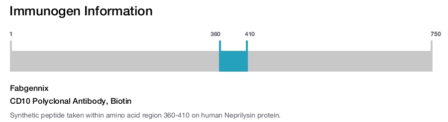 CD10 Polyclonal Antibody, Biotin