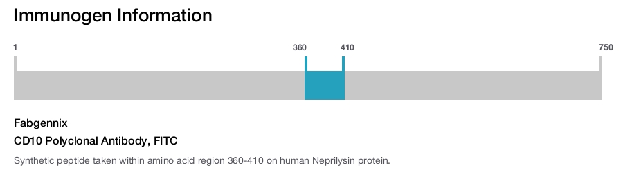 CD10 Polyclonal Antibody, FITC