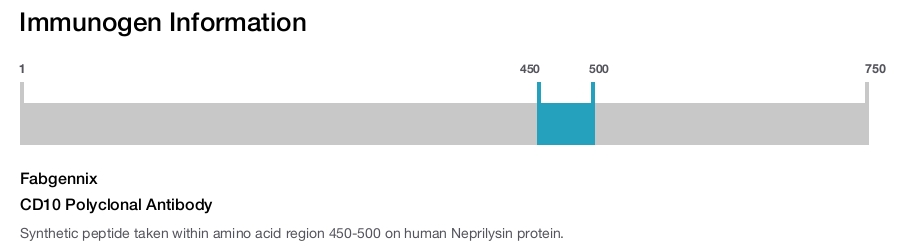 CD10 Polyclonal Antibody
