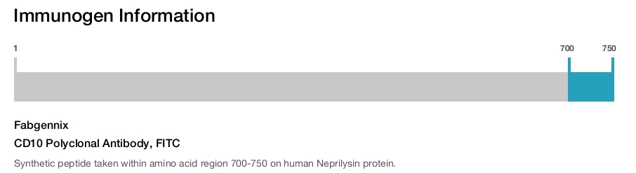 CD10 Polyclonal Antibody, FITC