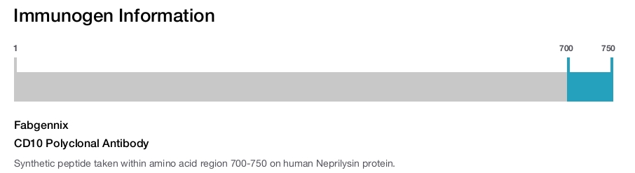 CD10 Polyclonal Antibody
