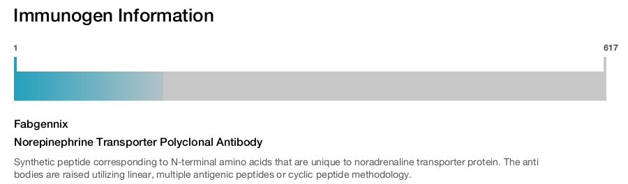 Norepinephrine Transporter Polyclonal Antibody