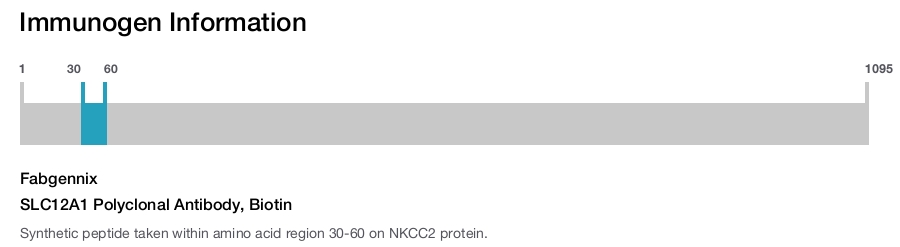 SLC12A1 Polyclonal Antibody, Biotin