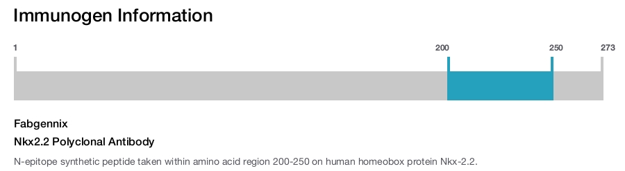 Nkx2.2 Polyclonal Antibody