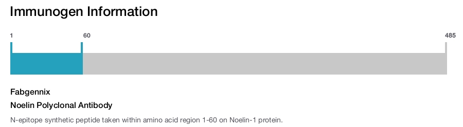 Noelin Polyclonal Antibody