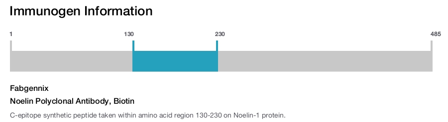 Noelin Polyclonal Antibody, Biotin