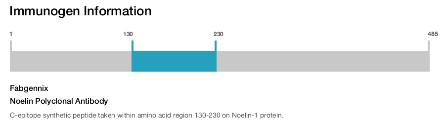 Noelin Polyclonal Antibody