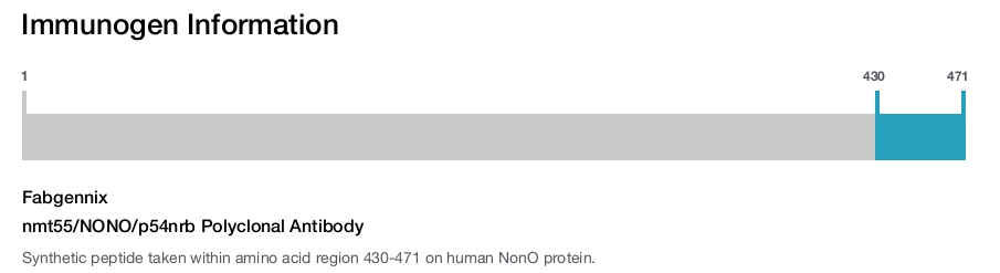 nmt55/NONO/p54nrb Polyclonal Antibody