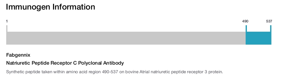 Natriuretic Peptide Receptor C Polyclonal Antibody