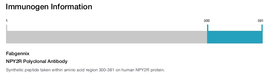 NPY2R Polyclonal Antibody