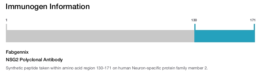 NSG2 Polyclonal Antibody
