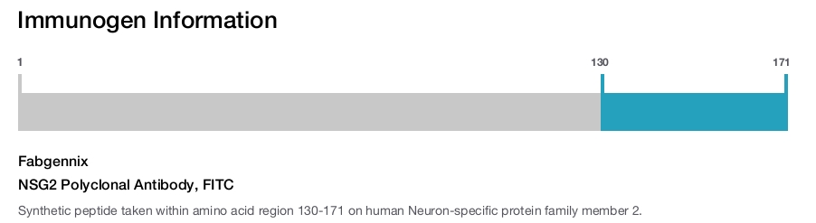 NSG2 Polyclonal Antibody, FITC