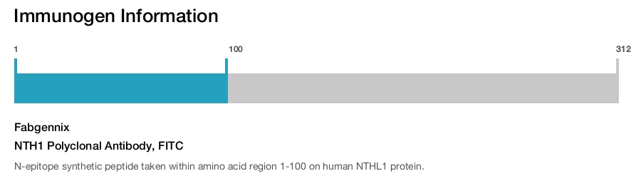 NTH1 Polyclonal Antibody, FITC