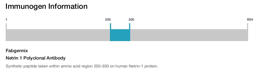 Netrin 1 Polyclonal Antibody