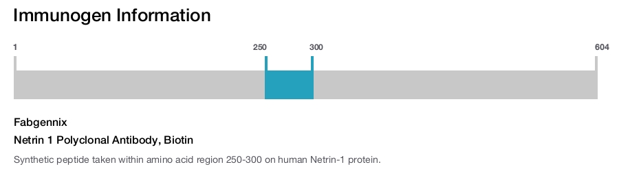 Netrin 1 Polyclonal Antibody, Biotin