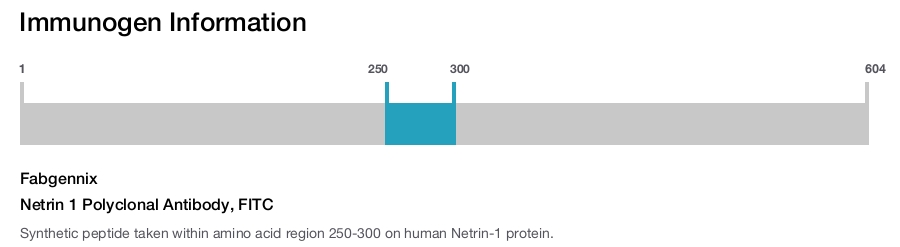 Netrin 1 Polyclonal Antibody, FITC