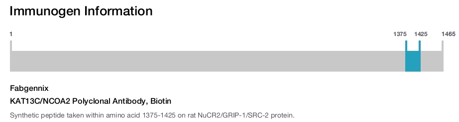 KAT13C/NCOA2 Polyclonal Antibody, Biotin