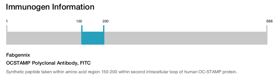 OCSTAMP Polyclonal Antibody, FITC