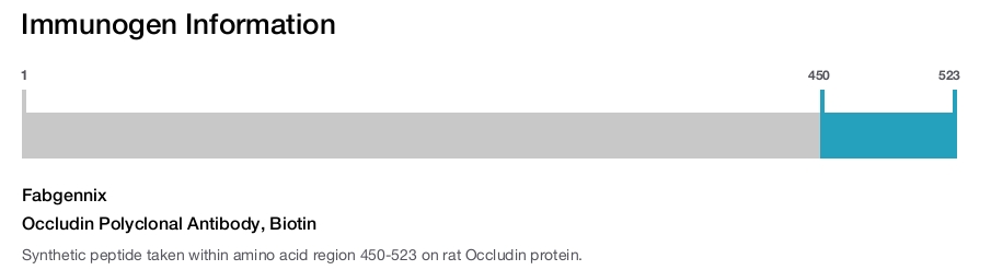 Occludin Polyclonal Antibody, Biotin