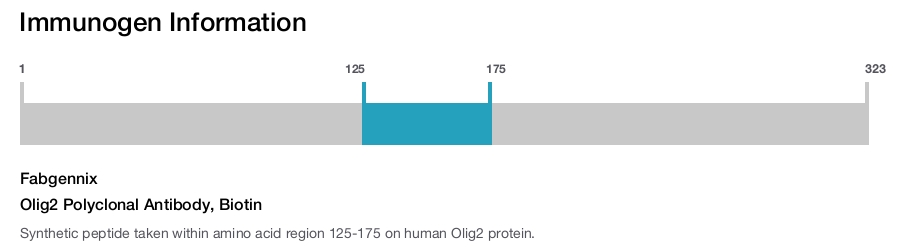 Olig2 Polyclonal Antibody, Biotin