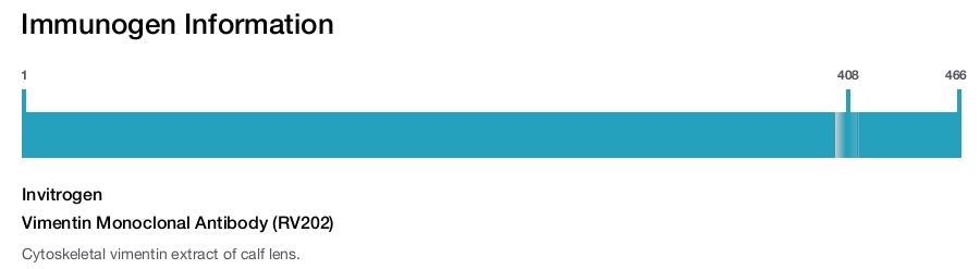 Vimentin Monoclonal Antibody (RV202)