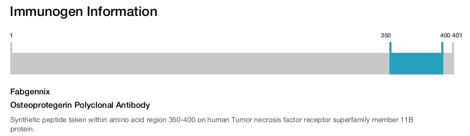 Osteoprotegerin Polyclonal Antibody