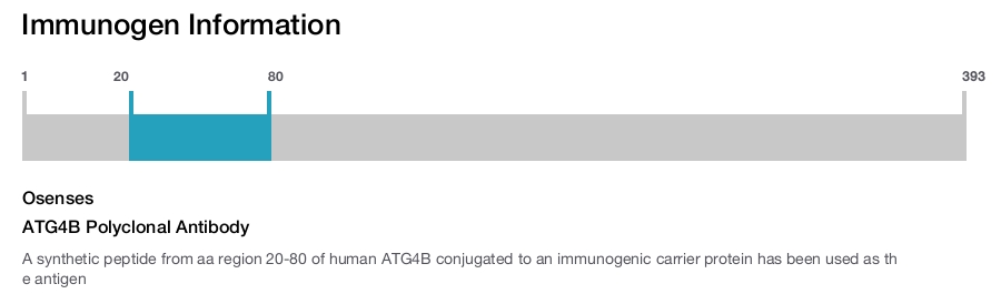 ATG4B Polyclonal Antibody