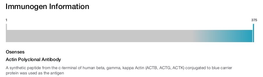 Actin Polyclonal Antibody