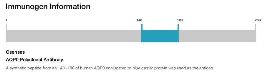 AQP0 Polyclonal Antibody