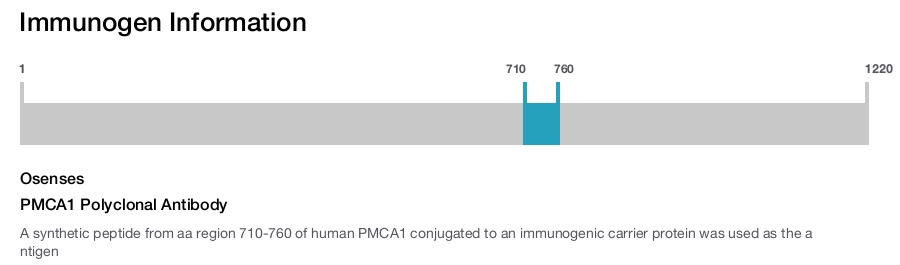 PMCA1 Polyclonal Antibody
