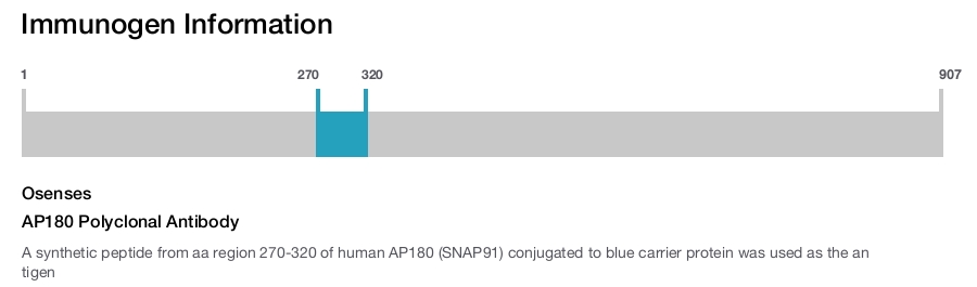 AP180 Polyclonal Antibody