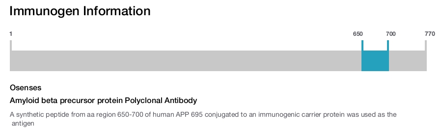 Amyloid beta precursor protein Polyclonal Antibody