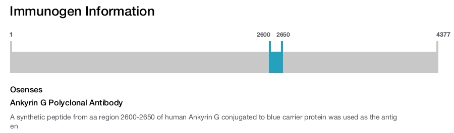 Ankyrin G Polyclonal Antibody
