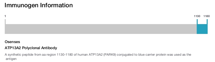 ATP13A2 Polyclonal Antibody