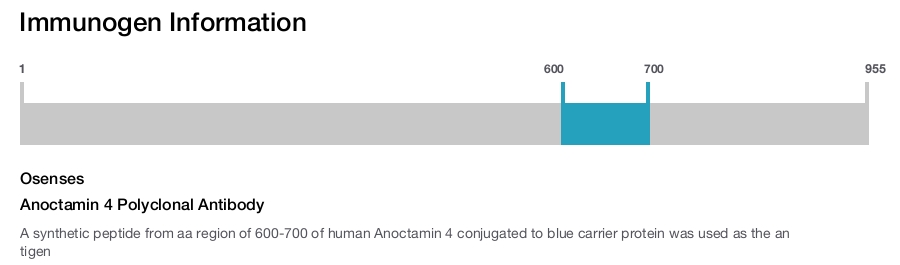 Anoctamin 4 Polyclonal Antibody