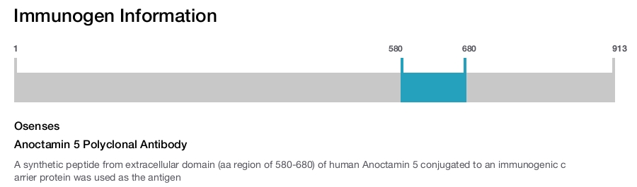 Anoctamin 5 Polyclonal Antibody