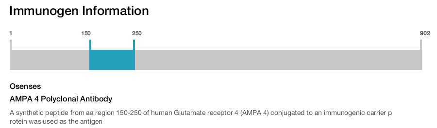 AMPA 4 Polyclonal Antibody